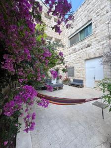 Zahrada ubytování Locations Amman Palm Tree 4