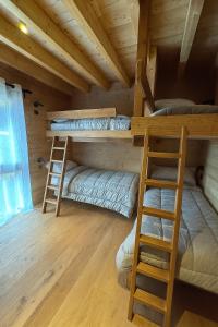 a room with two bunk beds and a ladder at Somptueux Chalet 12 personnes - Villaroger in Villaroger +5 photos