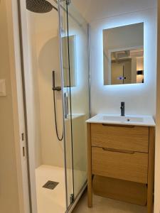 a bathroom with a shower and a sink and a mirror at Coeur de Ville in Nantes