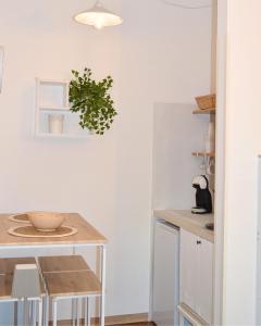 a kitchen with a table with a plant on the wall at La Petite Room in Otranto +9 photos