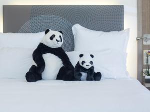 Fotografie z fotogalerie ubytování Novotel Mohammedia v destinaci Mohammedia