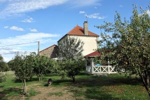a house with a dog standing in front of it at Les Poneys Fringants in Saint-Jean-des-Ollières
