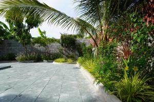 a garden with plants and a concrete walkway at KevilHome - Mini villa có hồ bơi in Da Nang
