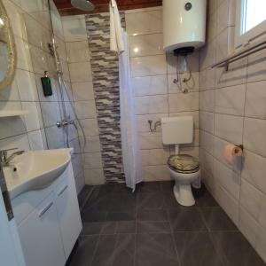 a bathroom with a toilet and a sink and a shower at Kuća za odmor River House in Batina +32 photos