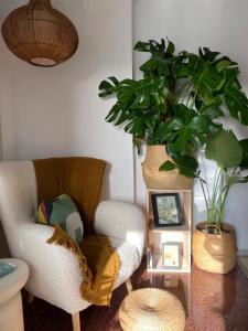 sala de estar con silla y planta en Central and Cozy Retreat - Ferienwohnung Almería, en Almería