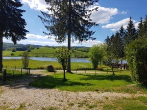 a park with trees and a lake in the background at Gîte Le Lac à La Dame in Foncine-le-Bas