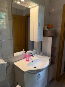 un bagno con lavandino e specchio di Evina kuća a Vrzići Altre 38 foto