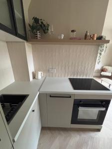 クリスタル・パレスにあるStylish 1 bed flat Londonのシンクとコンロのある小さなキッチン