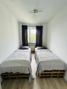 two beds in a room with a window at Apartament in Tarnowskie Góry