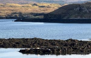 Fotografie z fotogalerie ubytování 8 Skinidin v destinaci Dunvegan