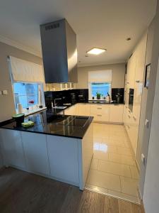 伊斯马宁Charming, cozy house near Munich的一间大厨房,配有白色的橱柜和黑色的台面 更多5张照片