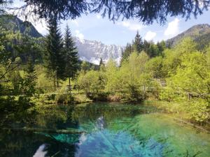 Un lac au milieu d'une forêt dans l'établissement Berghaus auf 1200m Höhe, à Bodental