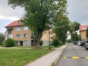 a tree on the side of a street next to a building at Do lesa - Into the Woods in Vysoké Tatry