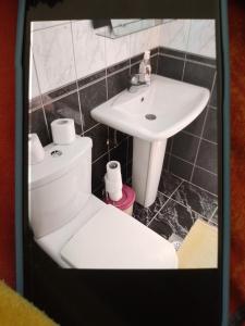 a bathroom with a toilet and a sink at Edinhome in Sarajevo +13 photos