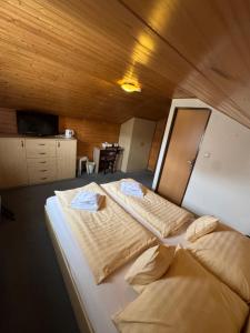 Gallery image of Hostinec v Zátoce in Horní Těrlicko +73 photos