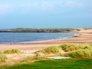 a beach with some grass and water and the ocean at 3 Bed in Achill Island oc-ii06848 in Valley