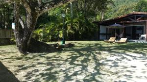 einen Garten mit einem Baum, Stühlen und einem Regenschirm in der Unterkunft Casa praia fortaleza pé na areia in Ubatuba