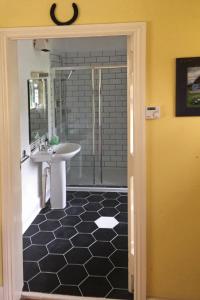 Koupelna v ubytování 1 Bed in Woodenbridge oc-i010