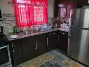 a kitchen with a stainless steel refrigerator and a red window at Silverbuttons in Saint Johnʼs