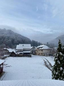 a snow covered village with houses and buildings at Casa Ligia Casa din inima Branului! in Bran