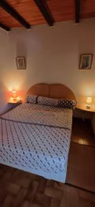 a bed in a bedroom with two lamps on tables at Bord de mer in Serra-di-Ferro