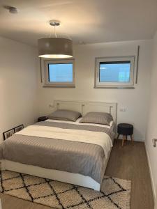 a bedroom with a large bed and two windows at Helles & modernes Apartment mit privater Terrasse in Schwäbisch Hall