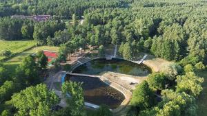 an aerial view of a pond in the middle of a forest at Domek w Ptasim Gaju in Bocheniec +6 photos