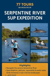 un collage de photos de personnes sur une planche à pagaie et d'un dauphin dans l'établissement 77 International Tourist House, à Mandurah