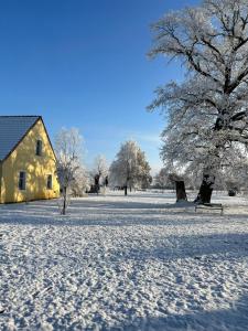 a snow covered field with a yellow house and trees at Landgut Ziegler in Friesack