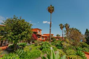 a house with palm trees and a yard with plants at Quinta Splendida Wellness & Botanical Garden in Caniço