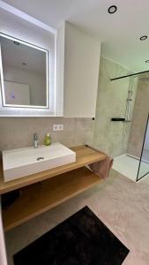a bathroom with a sink and a shower at Ferienwohnung Anja in Münnerstadt +4 photos