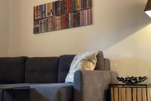 a living room with a couch and a shelf of dvds at Cozy Apartment next to the Slopes Sleeps 4 in Vars +11 photos
