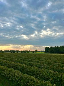 Peisaj natural din apropierea acestui B&B +78 fotografii