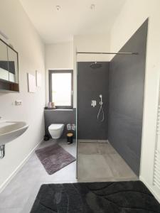 a bathroom with a shower and a toilet and a sink at Apart das Ehrets mit 3 Schlafzimmer in Bretzfeld +19 photos