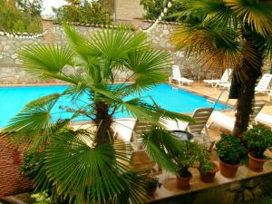 ein Swimmingpool mit Palmen und Stühlen daneben in der Unterkunft Boutique Hotel Talaveri In Telavi in Telawi