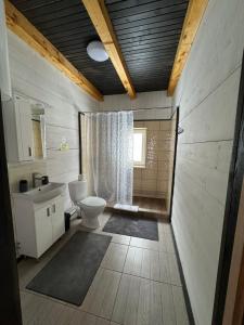 a bathroom with a toilet and a sink at Відпочинковий комплекс Біла Кобила in Verkhovyna