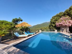 a swimming pool with two chairs and an umbrella at Villa rundinella in Vero