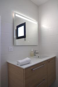 a bathroom with a sink and a mirror at Le Jardin de Sauge in Le Teich +19 photos