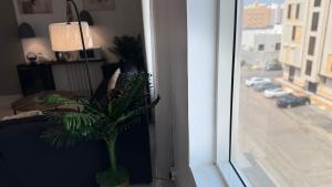 a plant in a vase next to a window at استديو بوصول ذاتي غرفتين in Jazan