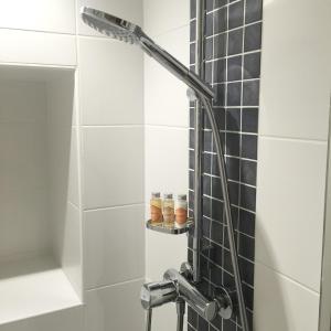 a shower in a bathroom with black and white tiles at La Maison Abeil in LʼArgentière-la-Bessée