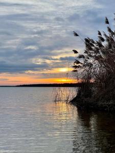ビッターフェルトにあるZuhause am See - Eleganz im Altbauの草水上の夕日