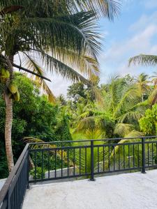 a black fence next to a palm tree at The La Nature Villa in Wadduwa