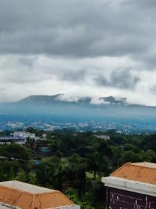 Naturlandskabet i nærheden af lejligheden