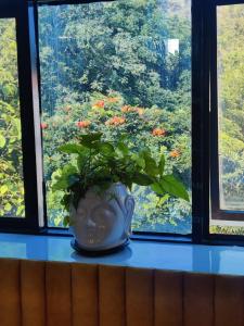 En have udenfor Hillside Penthouse with Panoramic Views