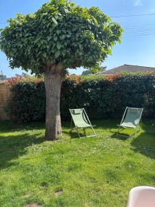 two lawn chairs sitting next to a tree at Le jardin de Sienne in Le Teich