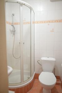 a bathroom with a shower and a toilet at Apartmány Lékařský dům in Pec pod Sněžkou