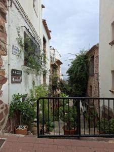 un vicolo in un vecchio edificio con piante di LA COVETA RURaL a Vilafamés