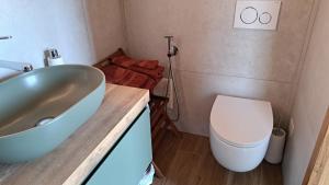 a bathroom with a sink and a toilet at Casa Lago Azzurro Atelier in Cannobio