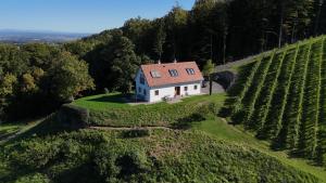 EckbergWeingartenhaus Eckberg41的享有葡萄园山丘上房屋的空中景致