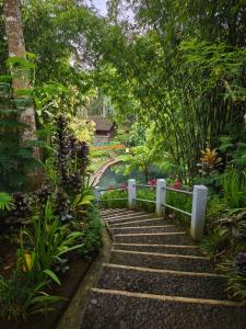 Un jardín con escaleras que bajan a un estanque. en Sendang Seruni Guest House, en Jambu
